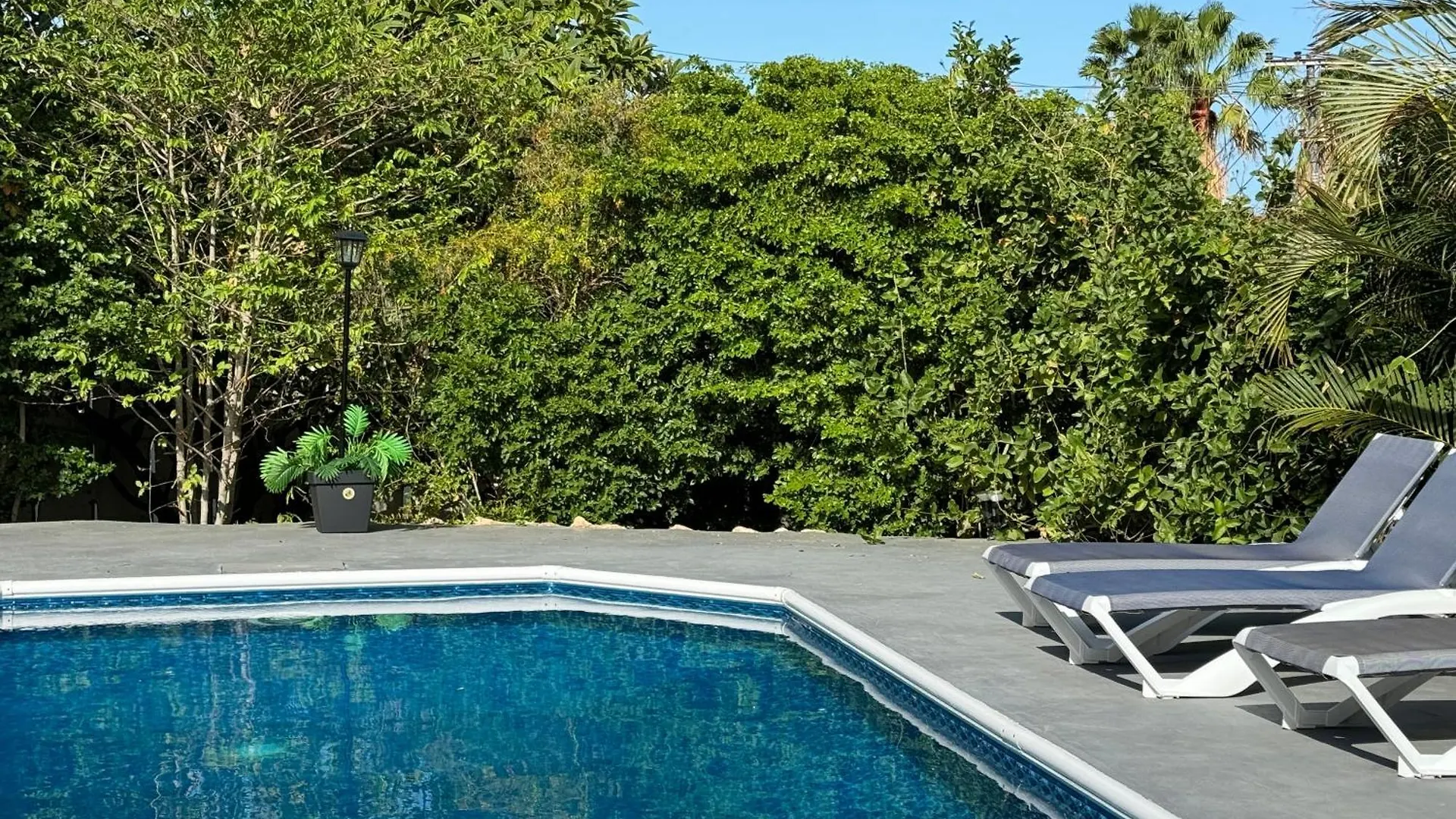 Villa Grand Jardin Jan Thiel