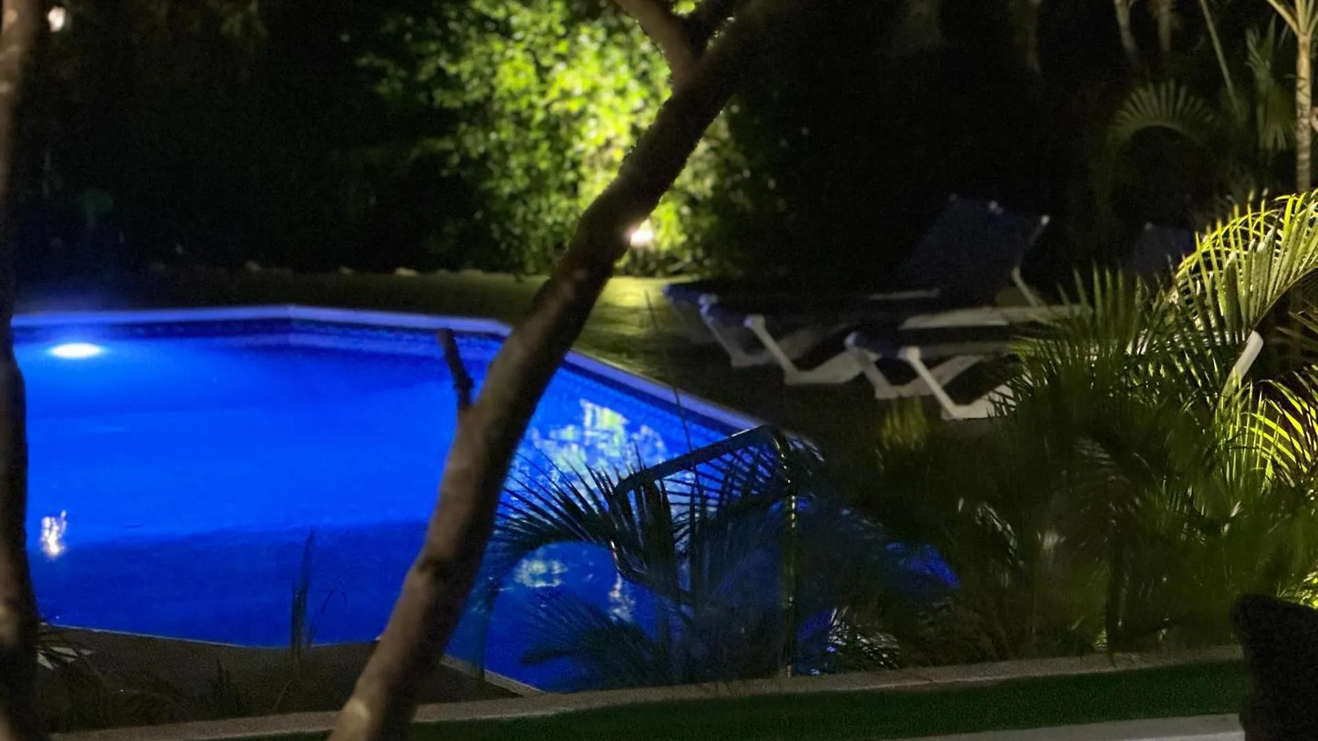 Villa Grand Jardin Jan Thiel 0*,  Curacao